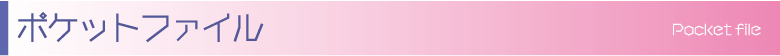 旭川パンフレット制作.com ポケットファイル